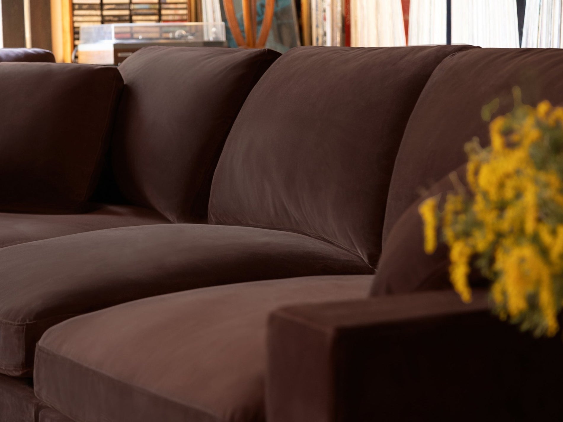 Chocolate Brown (Velvet) - Lifestyle - 4 - 7th Avenue