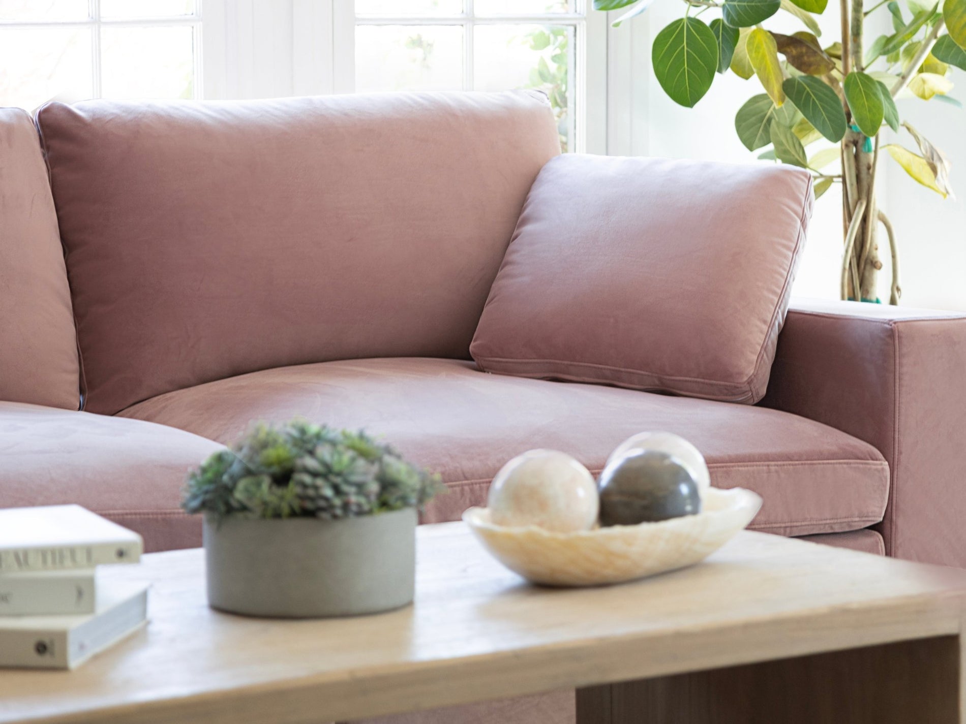 Rosewood Pink (Velvet) - Lifestyle 3 - 7th Avenue