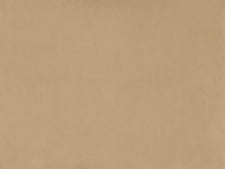 Camel Beige (Velvet) - Closeup - 7th Avenue
