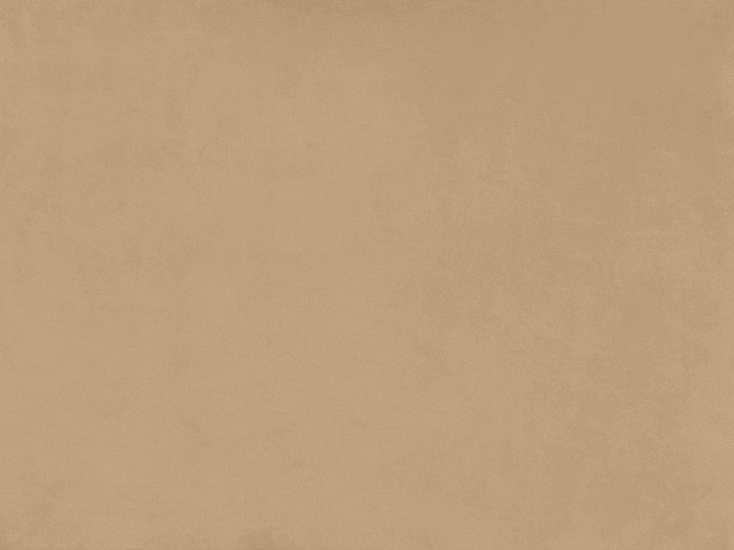 Camel Beige (Velvet) - Closeup - 7th Avenue